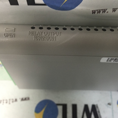 1C31219G01 Westinghouse Protocollo di comunicazione Ethernet/IP per servomotore