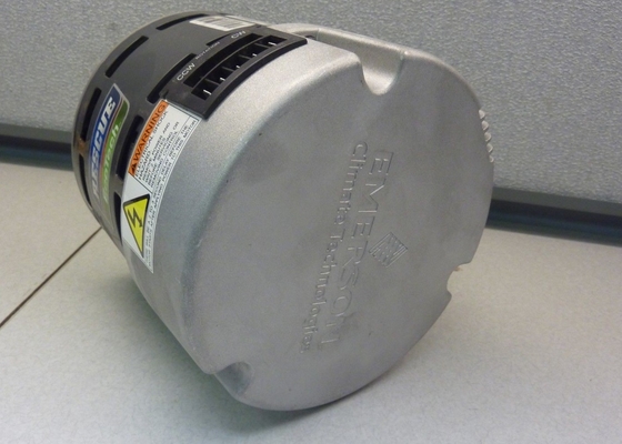 M055PWCRT-0262 5530ET 1/115 hertz bifasi 1075 di amp 40 del NEMA 48Y all. dell'asse del cuscinetto dell'estremità
