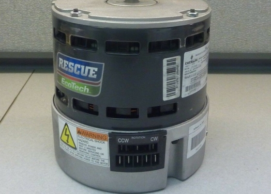 M055PWCRT-0262 5530ET 1/115 hertz bifasi 1075 di amp 40 del NEMA 48Y all. dell'asse del cuscinetto dell'estremità