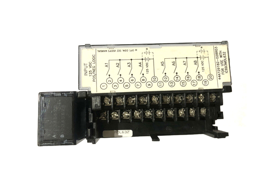 GE FANUC IC693MDL632, positivo di CC di 125 volt/modulo di input logica negativa